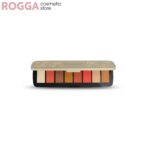 پالت سایه رولوشن Reloaded Palette Making An Entrance