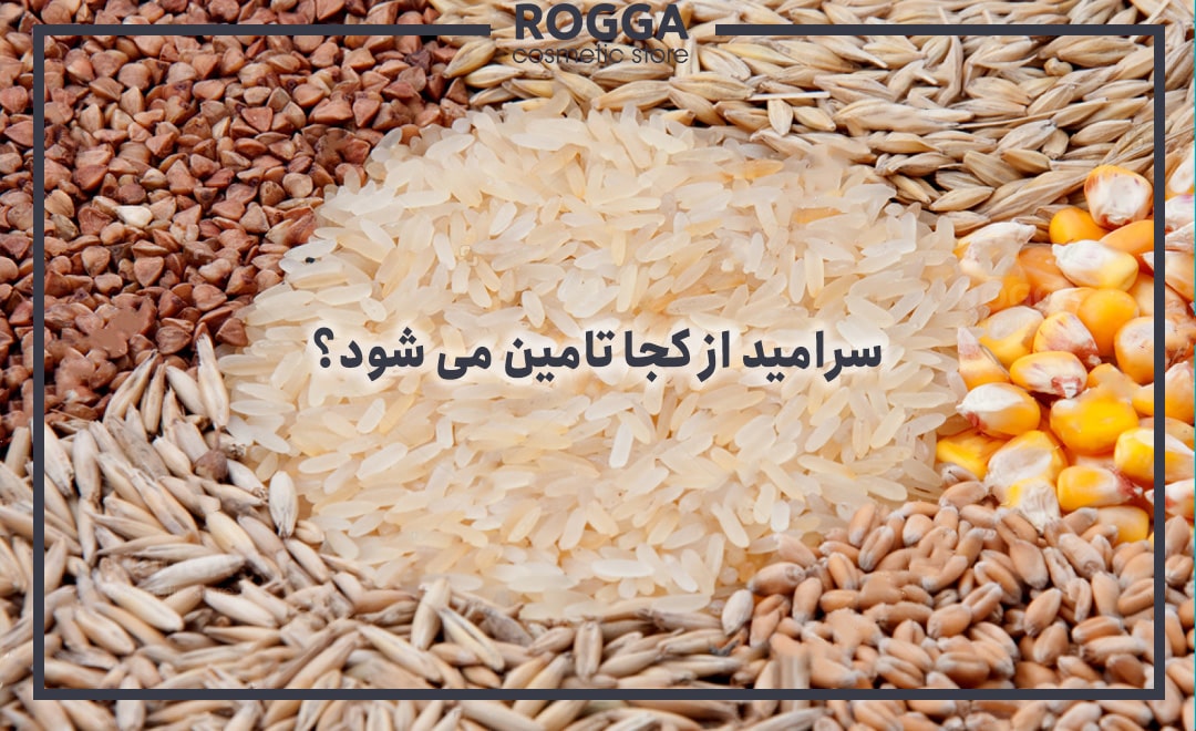 سرامید از کجا تامین میشود؟