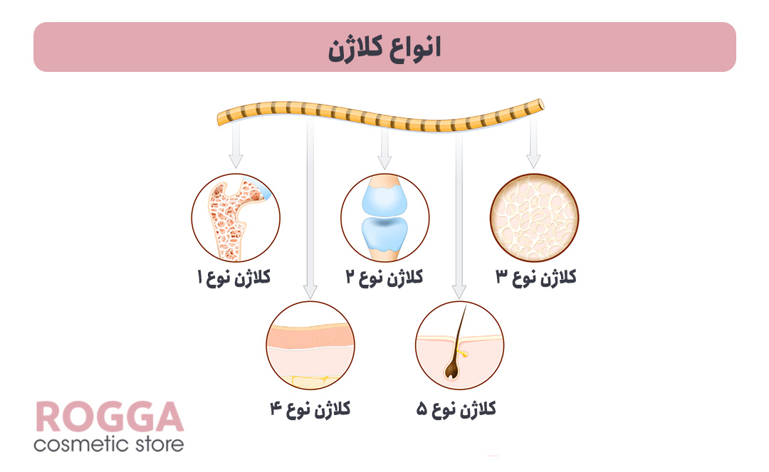 انواع-کلاژن