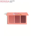 Sheglam sunset cruise Blush palette